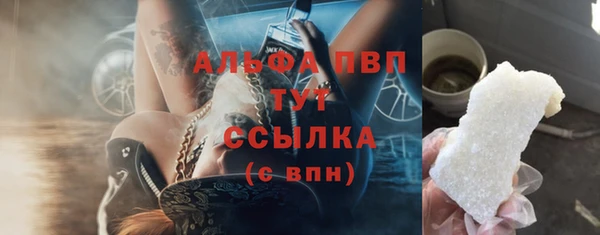 сатива Абинск