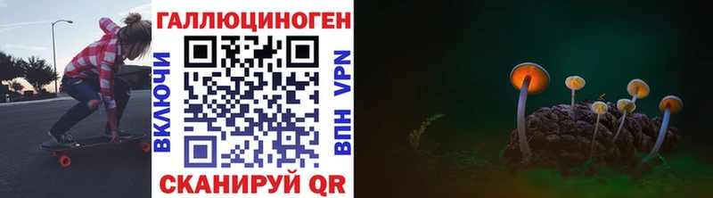 blacksprut ссылка Собинка Псилоцибиновые грибы прущие грибы